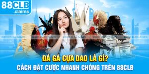 Đá Gà Cựa Dao Là Gì? Cách Đặt Cược Nhanh Chóng Trên 88clb