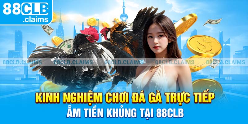 Kinh Nghiệm Chơi Đá Gà Trực Tiếp Ẵm Tiền Khủng Tại 88clb